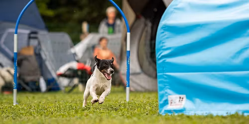 Stage hoopers - sp\u00e9cial conduite 