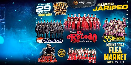 BANDA EL RECODO, BANDA MACHOS & MAS