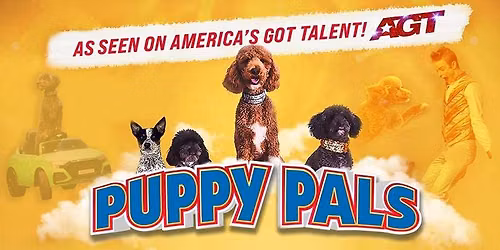 Puppy Pals LIVE
