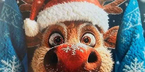 The Diving Centre's Christmas Social 