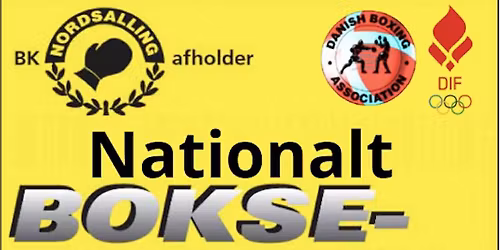 Julest\u00e6vne i Durup hallen