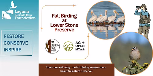 Fall Birding at Lower Stone Preserve