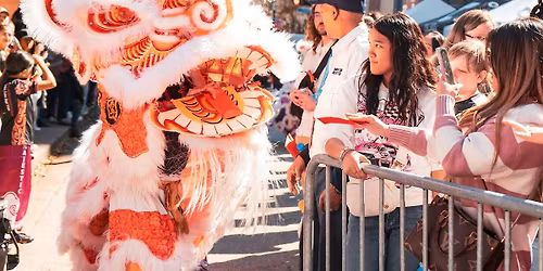 2026 Lunar New Year Festival at Downtown Houston
