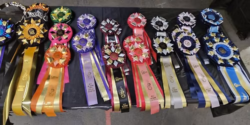 IABCA's 2026 Badger State Sieger Int'l All-Breed & Rare Breed DOG SHOW