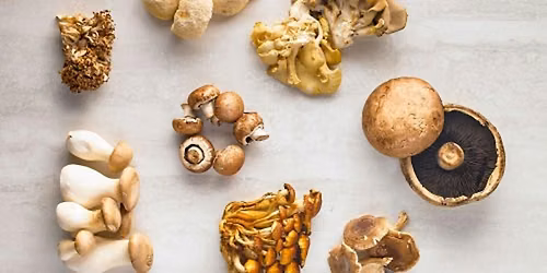 Meatless Meals: Mastering Mushrooms