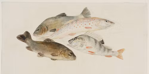 Making Waves: February half term family activities