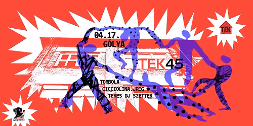 45. TEKsz\u00fclinap 