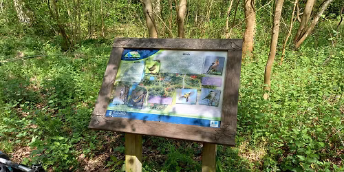 Zebon Copse: Conservation Volunteers