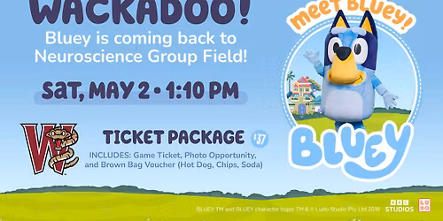 Bluey at the Ballpark 