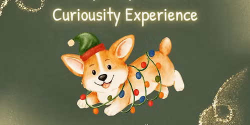 Holly Jolly Canine Curiosity Experience