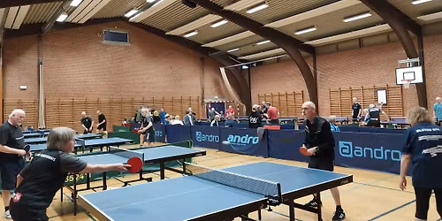 Bordtennis og h\u00f8jskole p\u00e5 Rude Strand