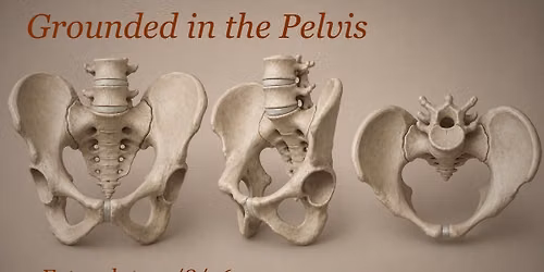 Grounded in the Pelvis