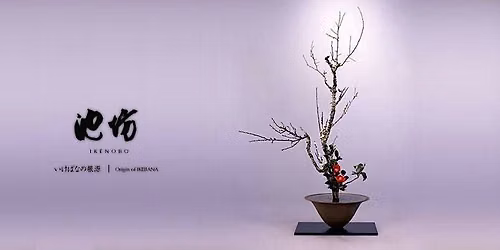 Invitation to Ikenobo Ikebana - Continuing Classes in Boulder CO (Jan 7)