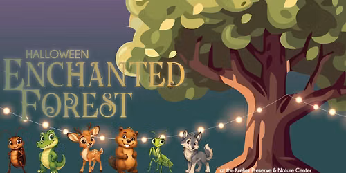 Halloween Enchanted Forest