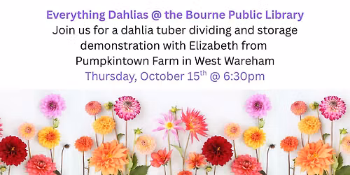Everything Dahlias