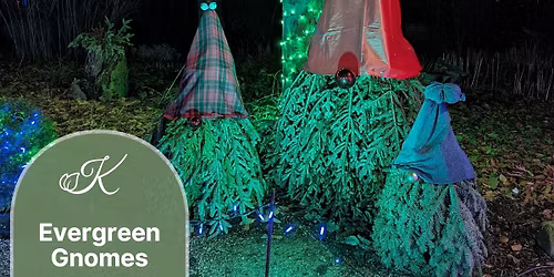 Evergreen Gnomes