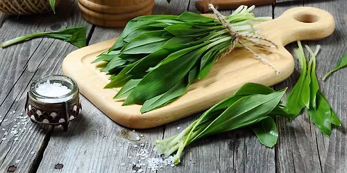 Medvehagyma peszt\u00f3 \u00e9s pog\u00e1csa workshop Lencs\u00e9s Rit\u00e1val 