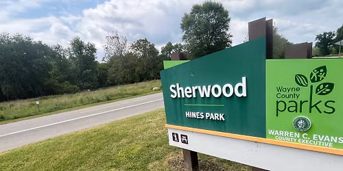 Robin Hood's Sherwood Forest Hike