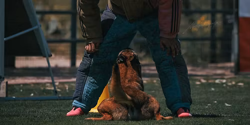 Intro to French Ring Decoy Seminar w\/ Chad Hunter and David Broderick 