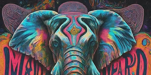 Mad Heard CD Release Party @ The Hole