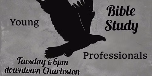The Young Adult Professionals Bible Study (The Yo Pros)