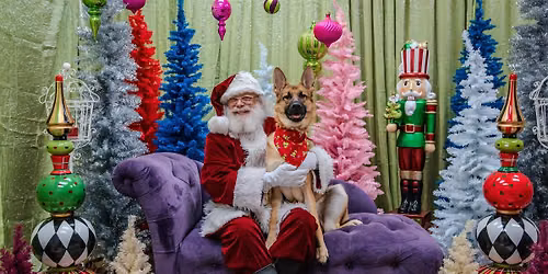 Santa Photos \ud83c\udf85