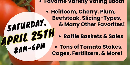 \ud83c\udf45 Tomato Day at Sweetbay! \ud83c\udf31