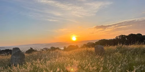 Summer Solstice Sunrise at Pentillie's Stone Circle