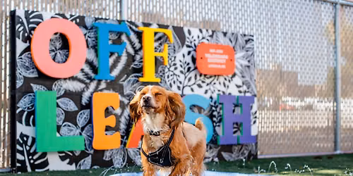 2026 Annual Pup Crawl Telegraph District