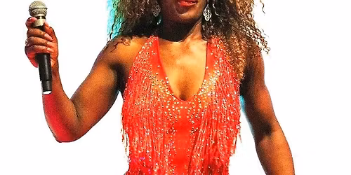 Tina Tuner Tribute Party Night