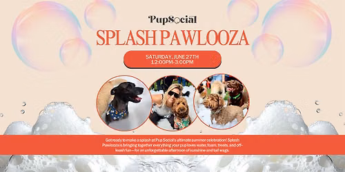 SPLASH PAWLOOZA