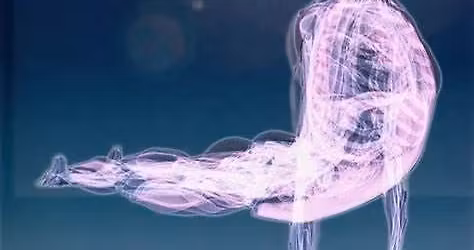 The Language of Fascia: Understanding the Body\u2019s Emotional Web