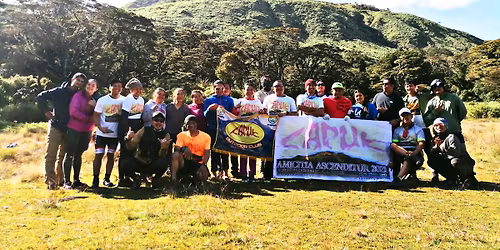 solar lights endorsement.