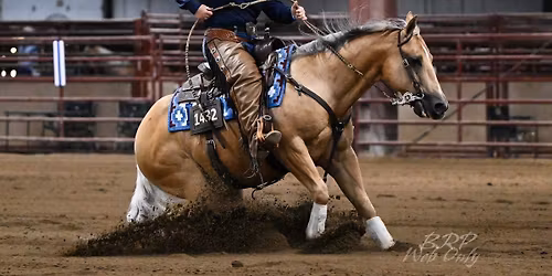 2025 IRHA awards banquet