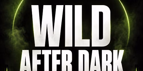 WILD'N AFTER DARK \ud83d\udd25