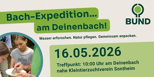 Bach-Expedition am Deinenbach zwischen Sontheim und Flein