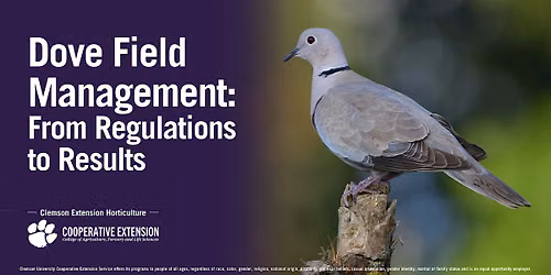 Dove Field Management: From Regulations to Results