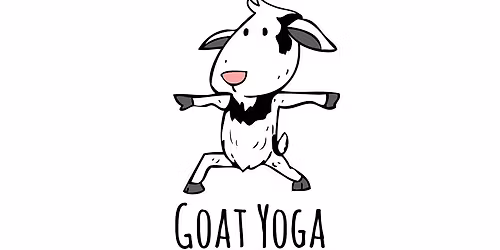 Baby goat yoga at Anne Springs Close Greenway