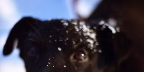 Meyer indywidualista szuka Pani, Pana do towarzystwa