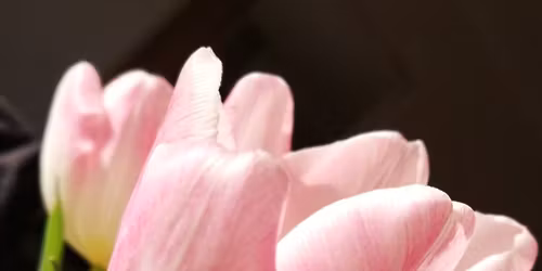 Easter Table Centre Piece