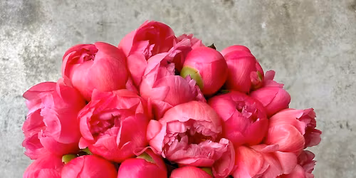 PEONY POP UP - FIRST ANNUAL EVENT