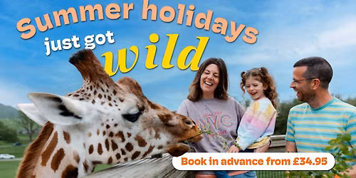 Wild Summer