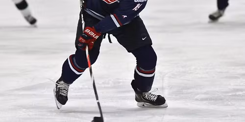 USA Hockey National Team Development Program vs. Madison Capitols