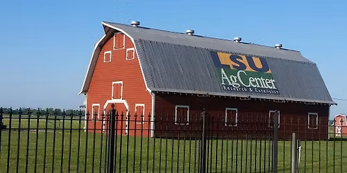 Christmas At The Farm