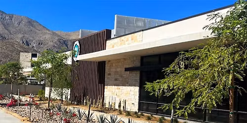 Palm Springs - Dog dental cleaning