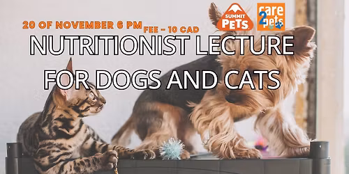 Home-cooked vs Commercial Pet Diets