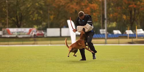 Maj\u00f3wka z Paw\u0142em Paw\u0142em, czyli trening obrony z Paw\u0142em Krawczykiem