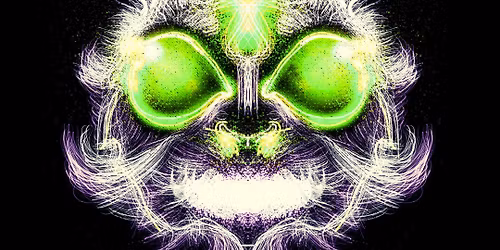 L.S.T.N. - JACK RABBIT 
