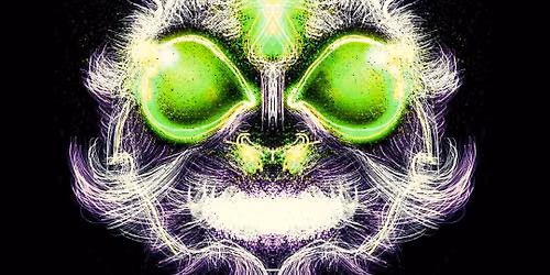 L.S.T.N. - JACK RABBIT 