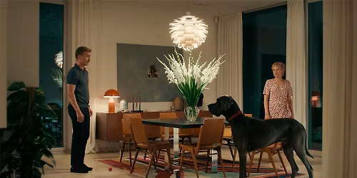 Filmowe Wtorki w Cafe Hormon: "Paw zwyczajny"